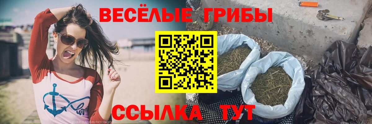 Галлюциногенные грибы Psilocybine cubensis Анжеро-Судженск